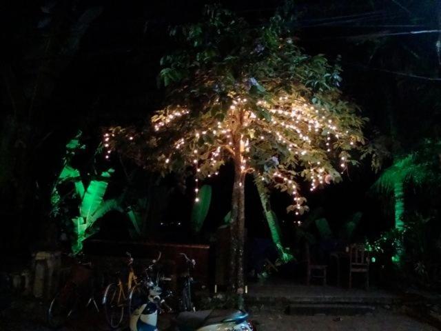 Riverside Guesthouse Luangprabang Kültér fotó